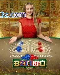 211br