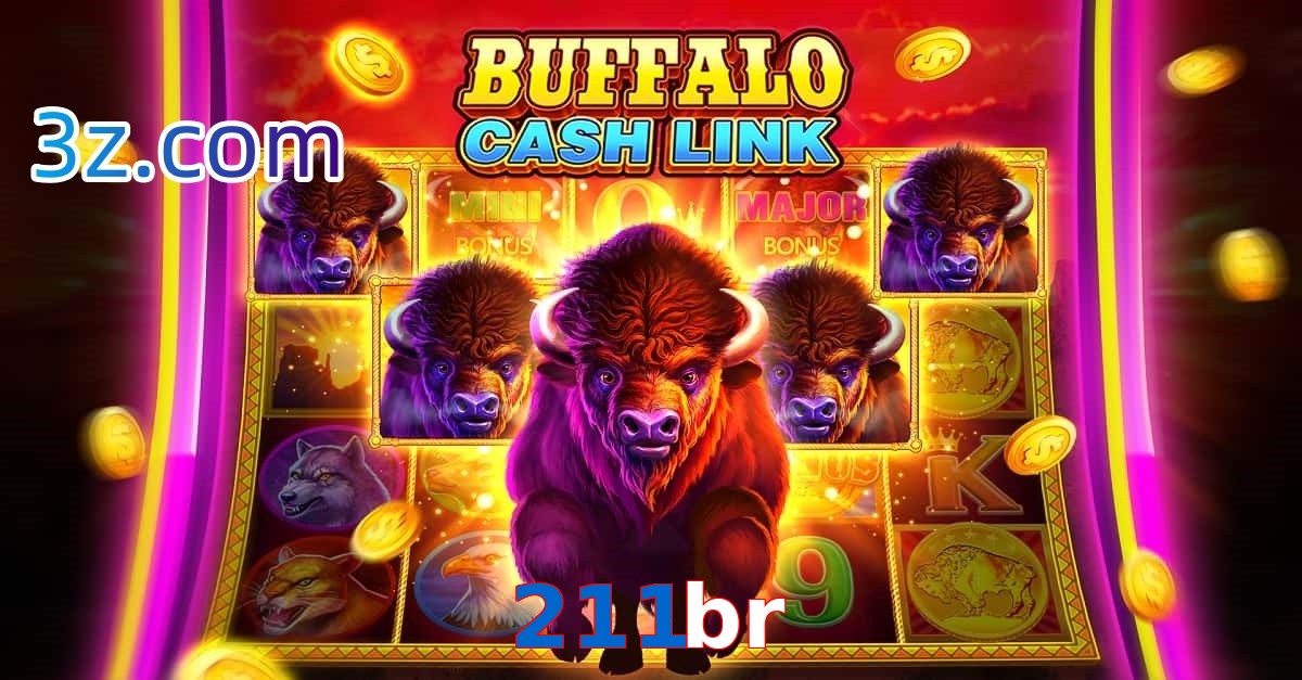 211br