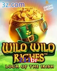 211br