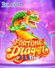 211br